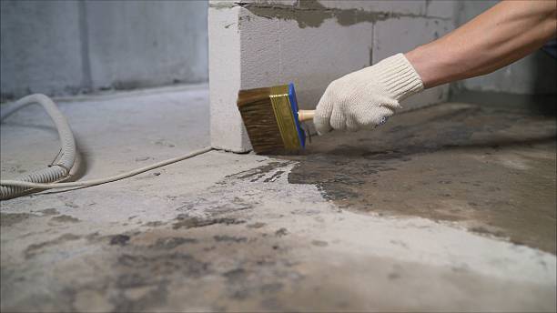 Top rated local Wet Basement Repair specialists in Cloverdale, VA